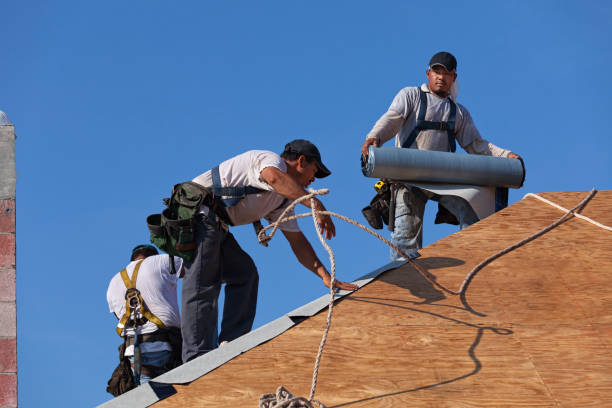 Best Storm Damage Roof Repair  in Arlington Heights, PA