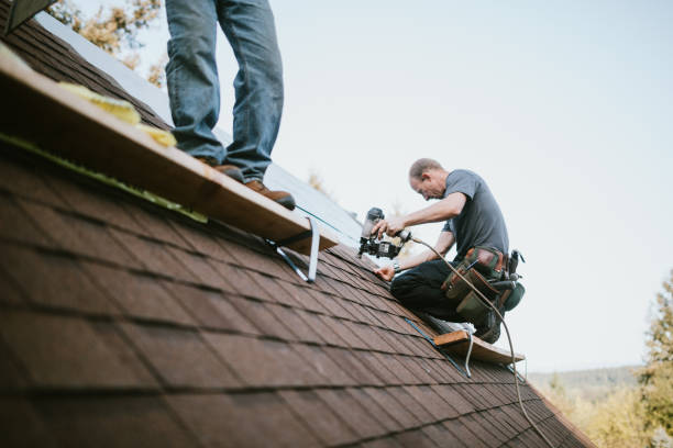 Quick and Trustworthy Emergency Roof Repair Services in Arlington Heights, PA